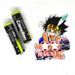 baterai camelion velocity 1000mah olahan